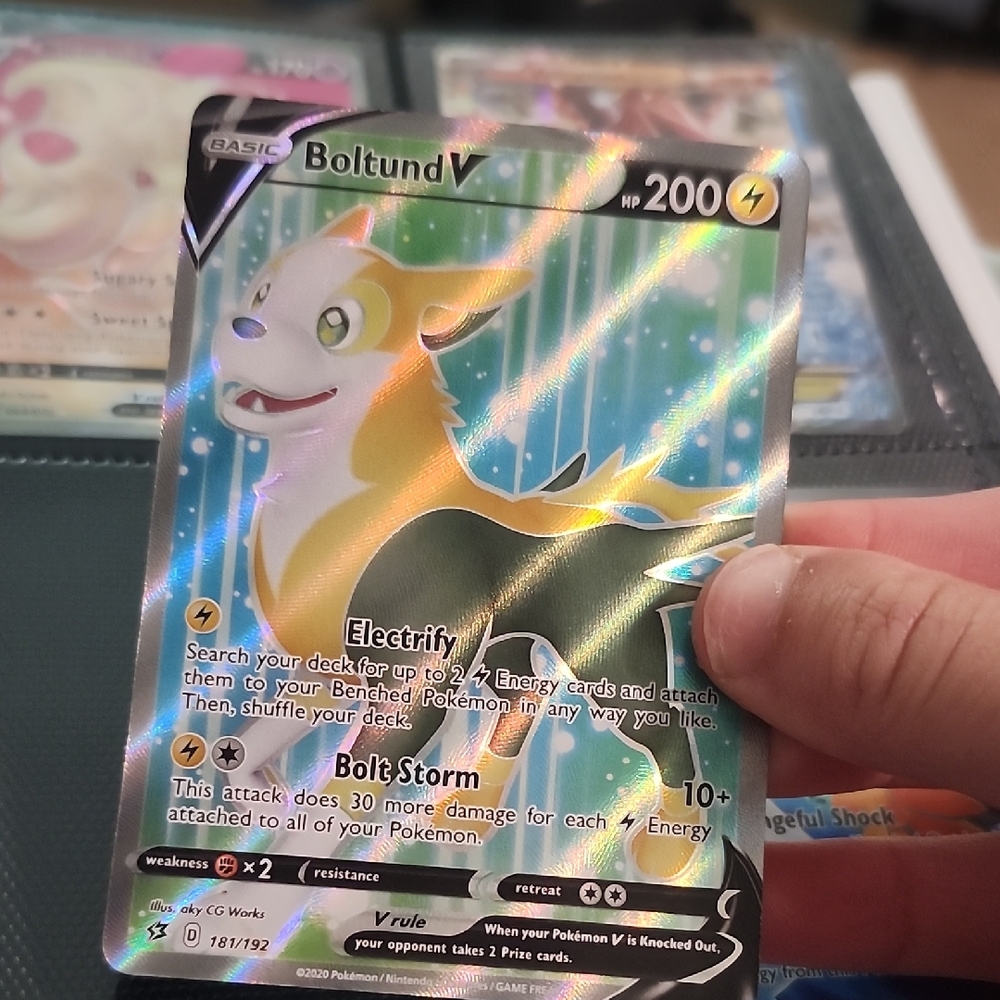 Boltund V Pokémon Card